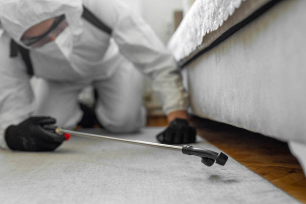 Professional Termite Control technician working in North Bellmore, NY