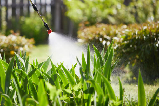 24/7 Emergency Termite Control experts in North Bellmore, NY