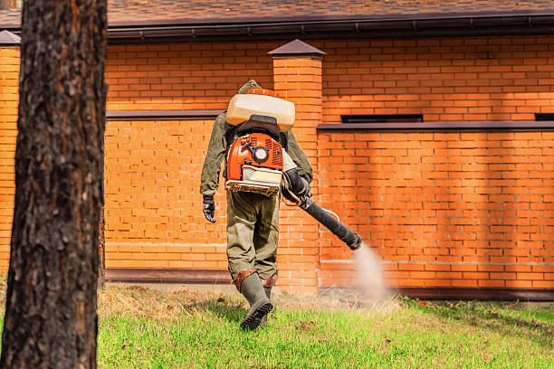 Trusted Emergency Pest Control service in North Bellmore, NY - Nex Pest Control